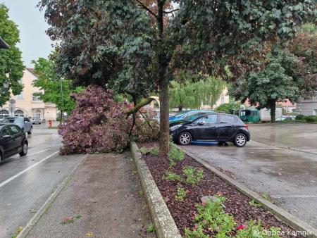 Neurje z vetrom podiralo drevesa in odkrivalo strehe (29)